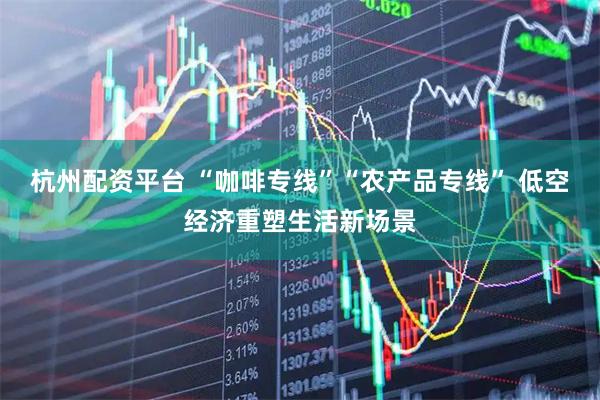 杭州配资平台 “咖啡专线”“农产品专线” 低空经济重塑生活新场景